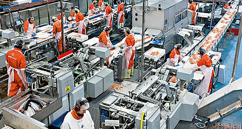 industrial-food-processing-equipment:-revolutionizing-food-production-efficiency